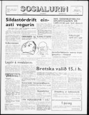Síða 1