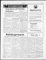 Síða 2