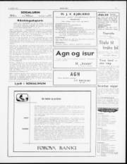 Síða 3