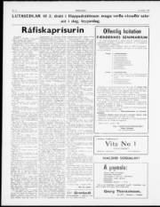 Síða 2
