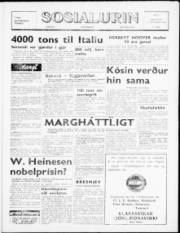 Síða 1