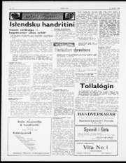 Síða 2