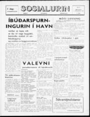 Síða 1