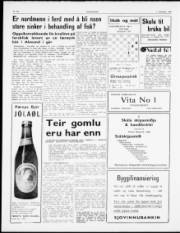 Síða 2