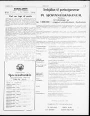 Síða 3
