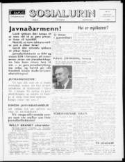 Síða 1
