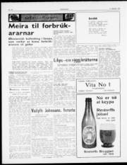Síða 2