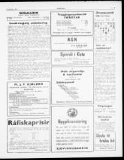 Síða 3
