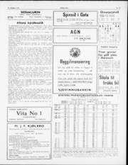 Síða 3