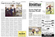Síða 10
