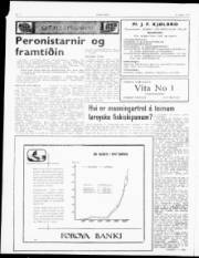 Síða 2