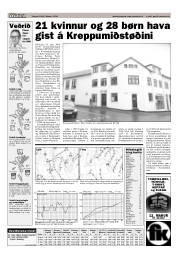 Síða 17