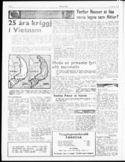 Síða 2