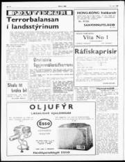 Síða 2