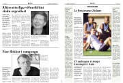 Síða 8