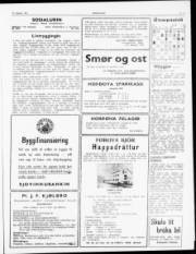 Síða 3