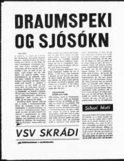 Síða 25