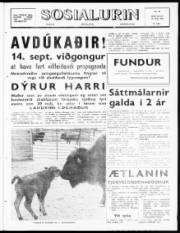 Síða 1