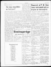 Síða 2