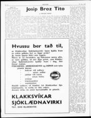 Síða 2