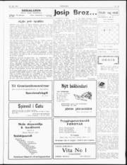 Síða 3