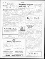 Síða 3