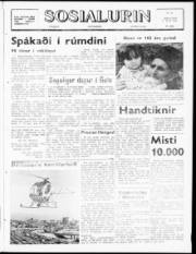 Síða 1