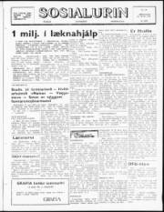 Síða 1