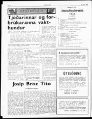 Síða 2