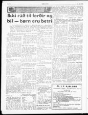 Síða 2