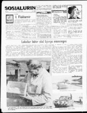 Síða 4