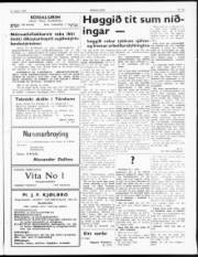 Síða 3