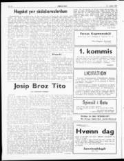 Síða 2