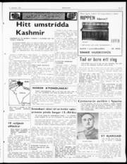 Síða 3