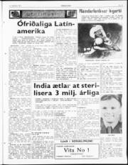 Síða 3