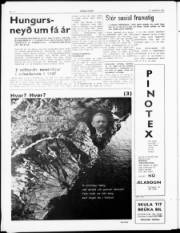 Síða 4