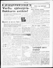 Síða 2