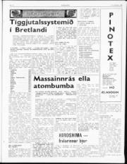 Síða 3
