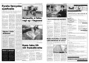 Síða 5