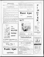 Síða 3