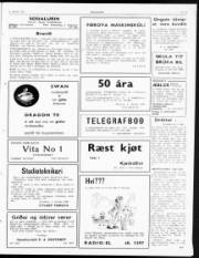 Síða 3