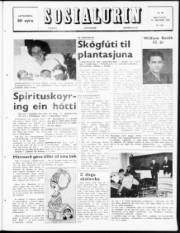Síða 1