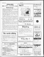 Síða 3