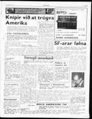 Síða 3