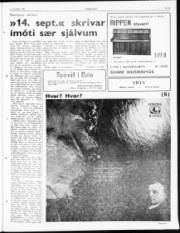 Síða 3