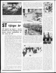 Síða 8
