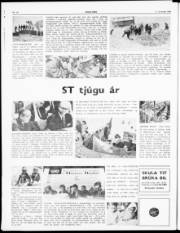 Síða 2