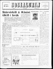 Síða 1