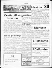 Síða 2