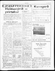 Síða 3